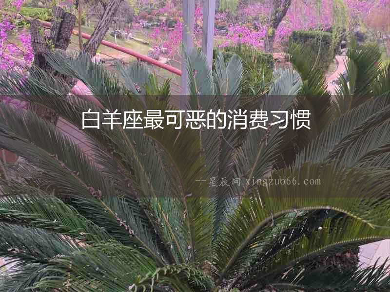 白羊座最可惡的消費習慣