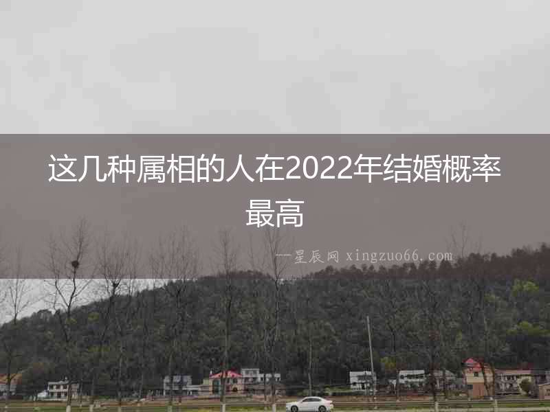 這幾種屬相的人在2022年結(jié)婚概率最高