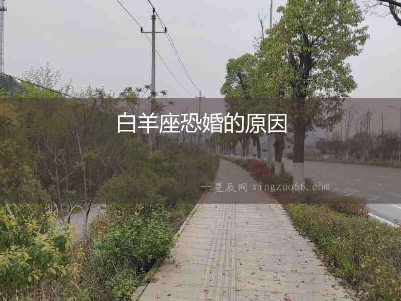 白羊座恐婚的原因
