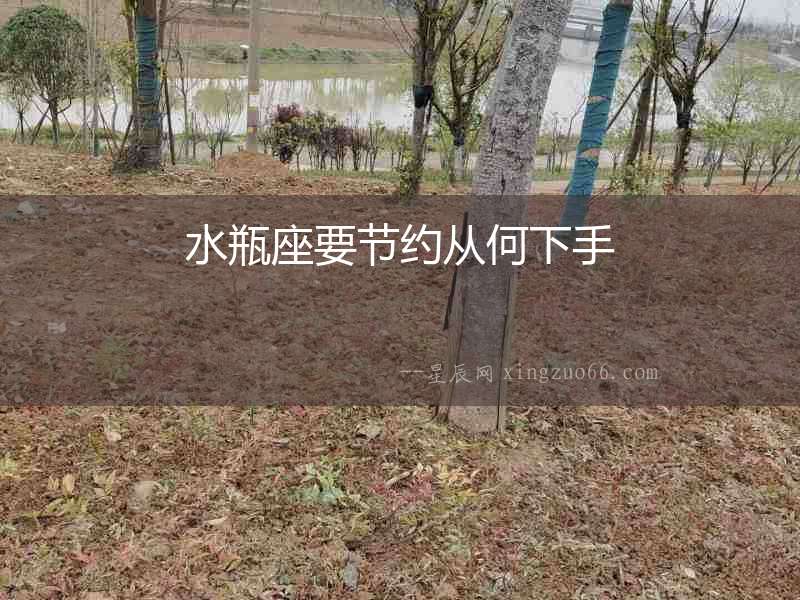 水瓶座要節(jié)約從何下手