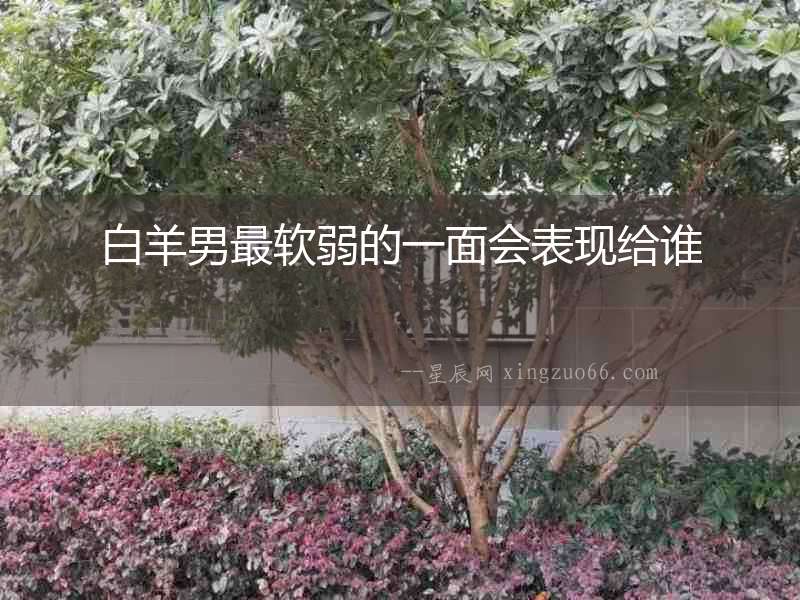 白羊男最軟弱的一面會表現給誰