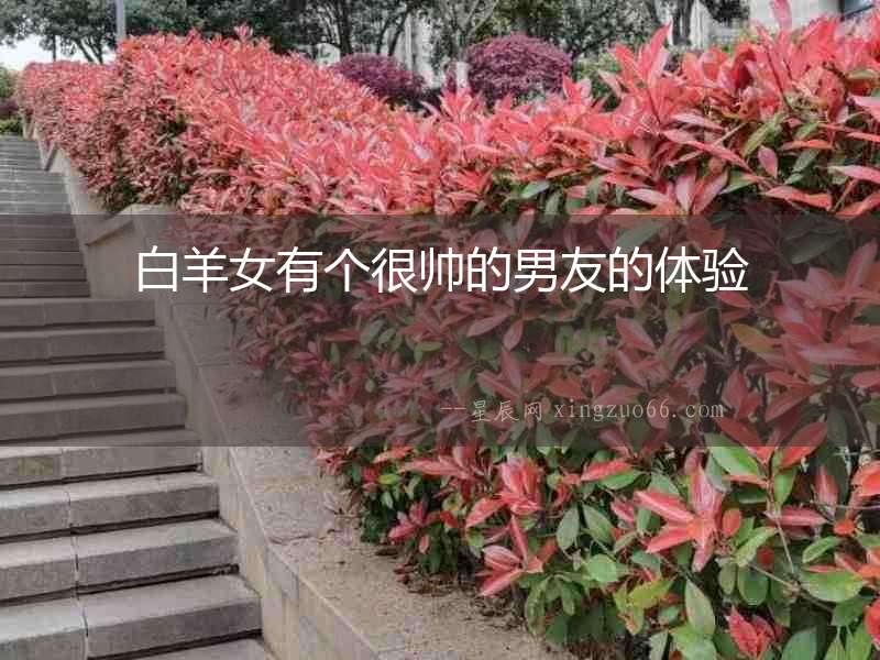 白羊女有個很帥的男友的體驗