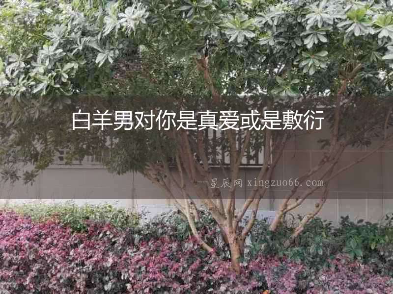 白羊男對(duì)你是真愛(ài)或是敷衍