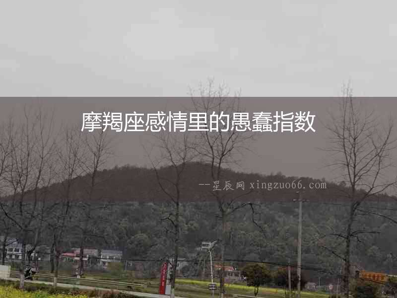 摩羯座感情里的愚蠢指數(shù)