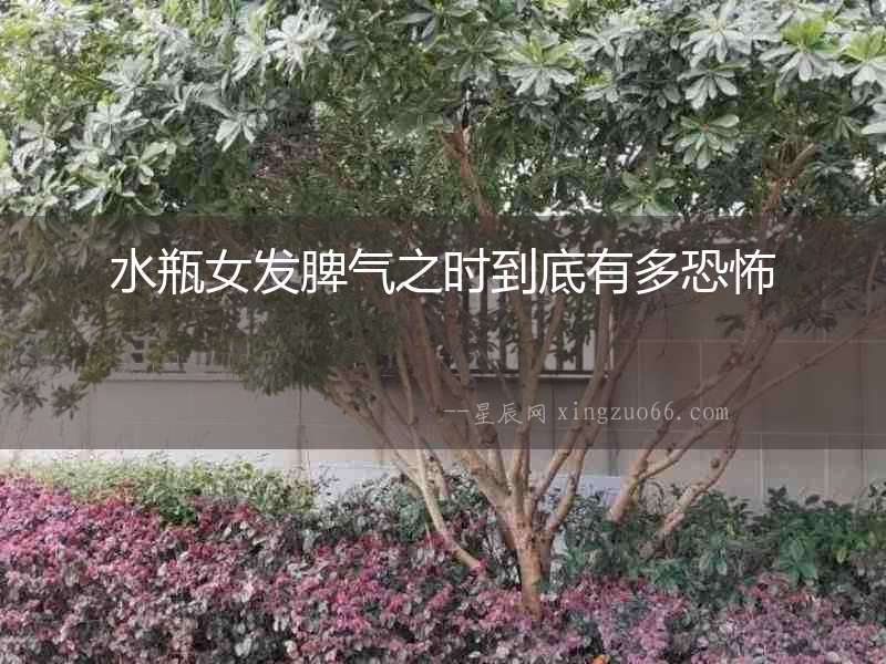 水瓶女發(fā)脾氣之時(shí)到底有多恐怖
