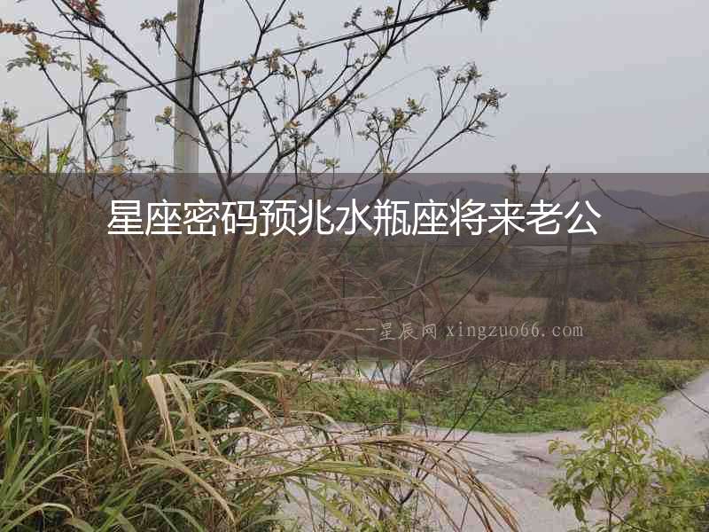 星座密碼預兆水瓶座將來老公
