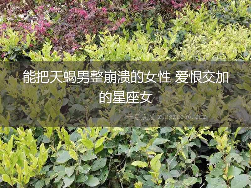 能把天蝎男整崩潰的女性 愛恨交加的星座女