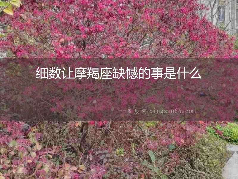 細(xì)數(shù)讓摩羯座缺憾的事是什么