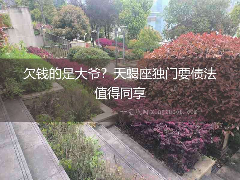 欠錢的是大爺？天蝎座獨門要債法值得同享