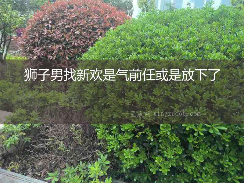 獅子男找新歡是氣前任或是放下了