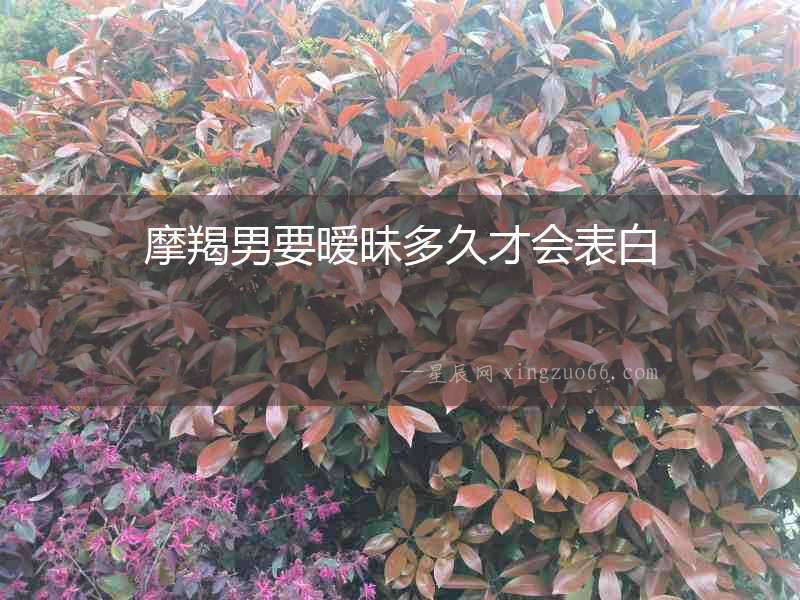 摩羯男要曖昧多久才會表白