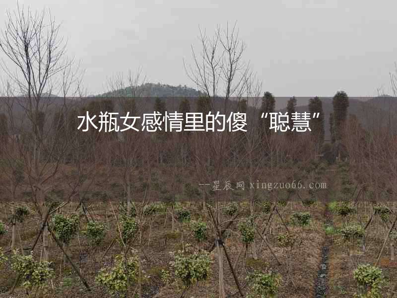 水瓶女感情里的傻“聰慧”