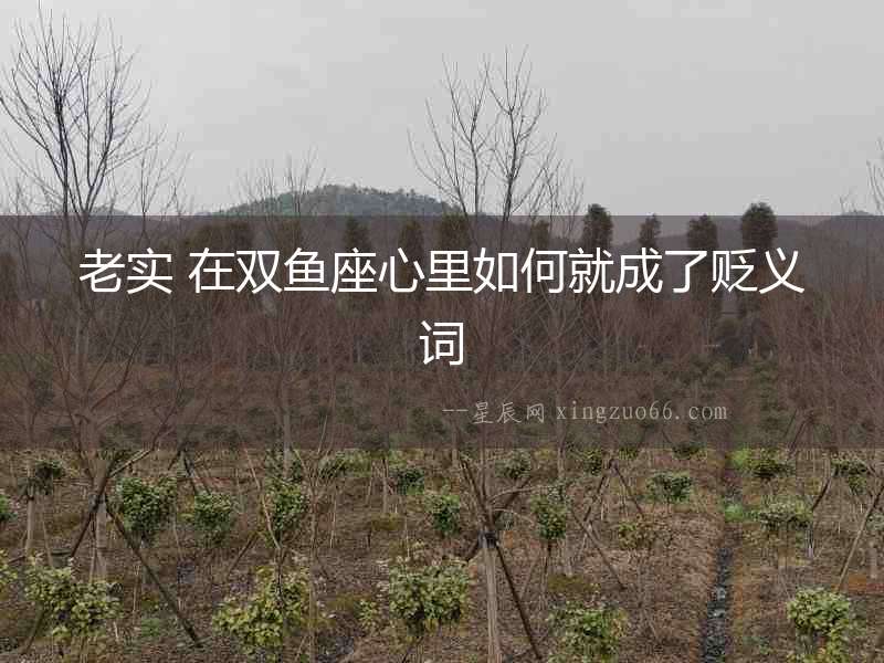 老實 在雙魚座心里如何就成了貶義詞