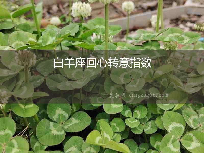 白羊座回心轉(zhuǎn)意指數(shù)