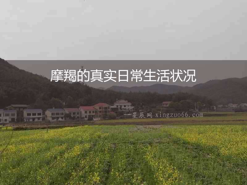 摩羯的真實日常生活狀況