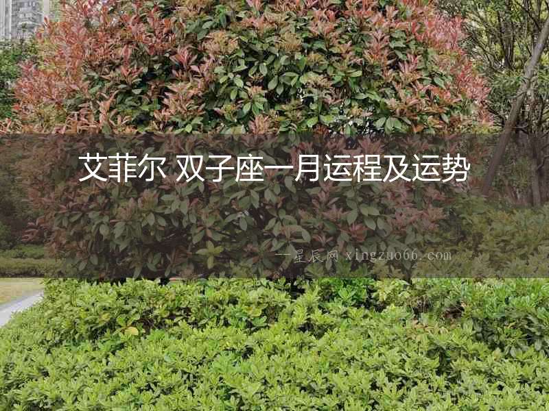 艾菲爾 雙子座一月運(yùn)程及運(yùn)勢
