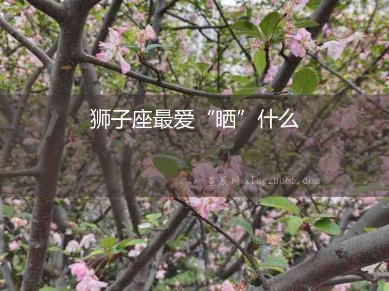 獅子座最愛“曬”什么