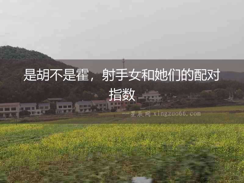 是胡不是霍，射手女和她們的配對指數