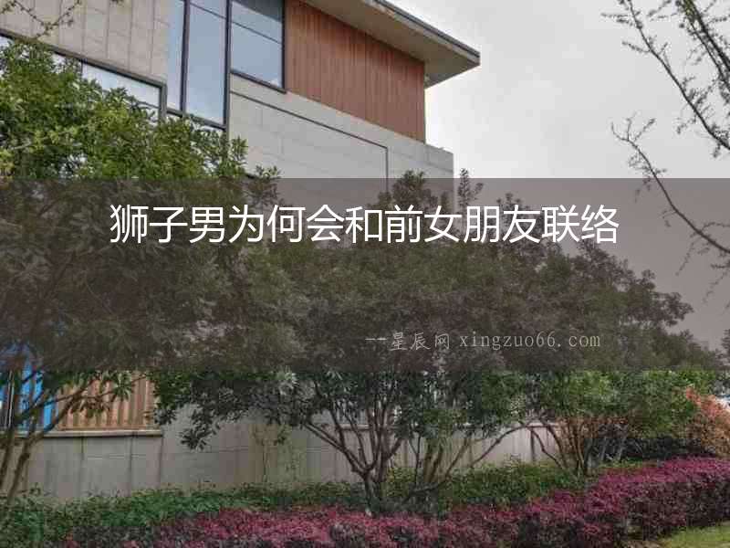獅子男為何會和前女朋友聯絡