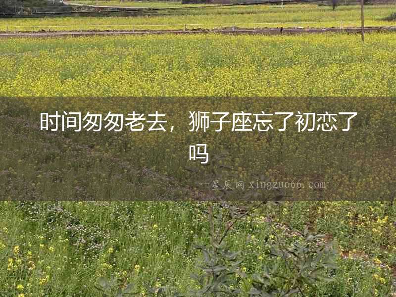 時間匆匆老去，獅子座忘了初戀了嗎