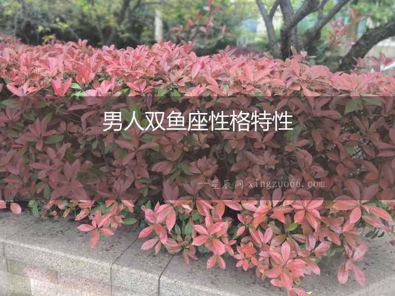 男人雙魚座性格特性