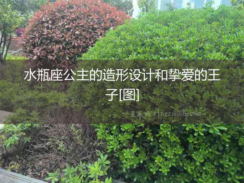 水瓶座公主的造形設計和摯愛的王子[圖]