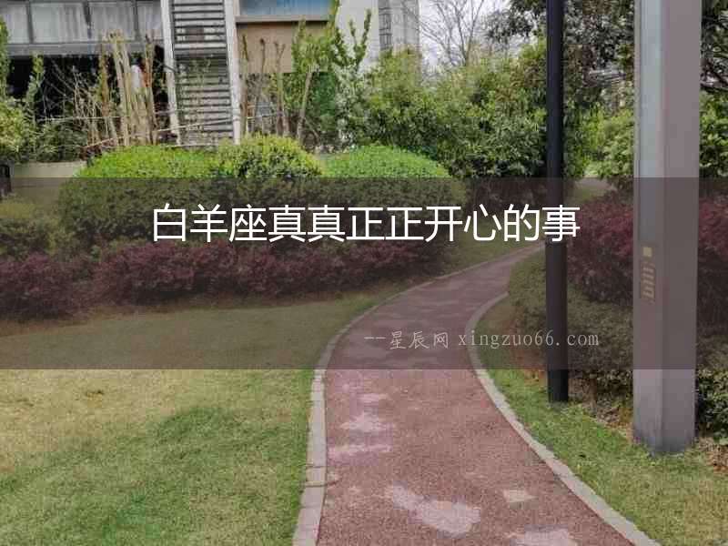 白羊座真真正正開心的事