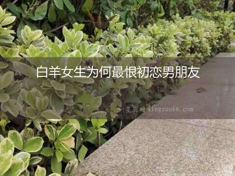 白羊女生為何最恨初戀男朋友