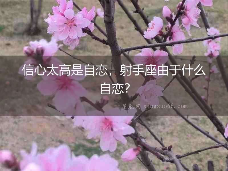 信心太高是自戀，射手座由于什么自戀？