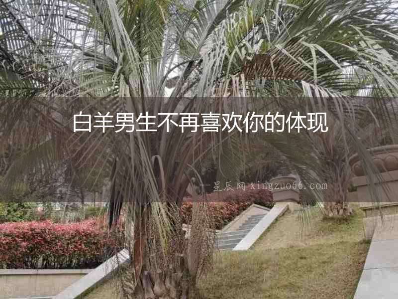 白羊男生不再喜歡你的體現