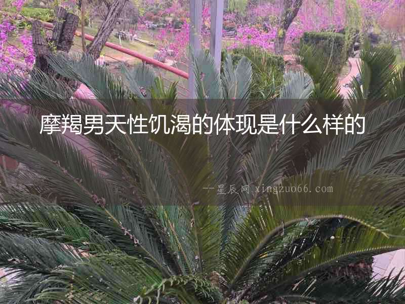 摩羯男天性饑渴的體現是什么樣的
