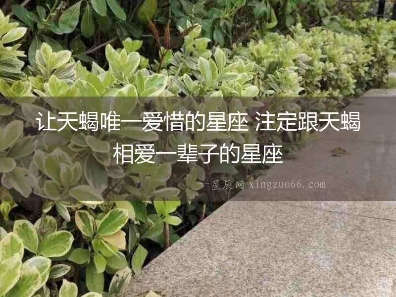 讓天蝎唯一愛惜的星座 注定跟天蝎相愛一輩子的星座