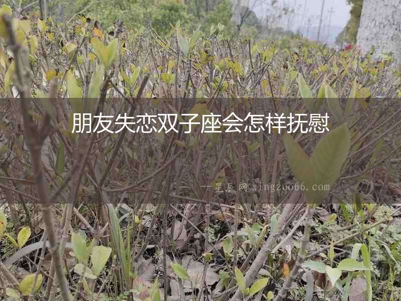 朋友失戀雙子座會怎樣撫慰