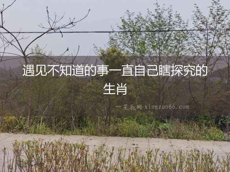遇見不知道的事一直自己瞎探究的生肖
