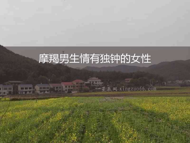 摩羯男生情有獨鐘的女性