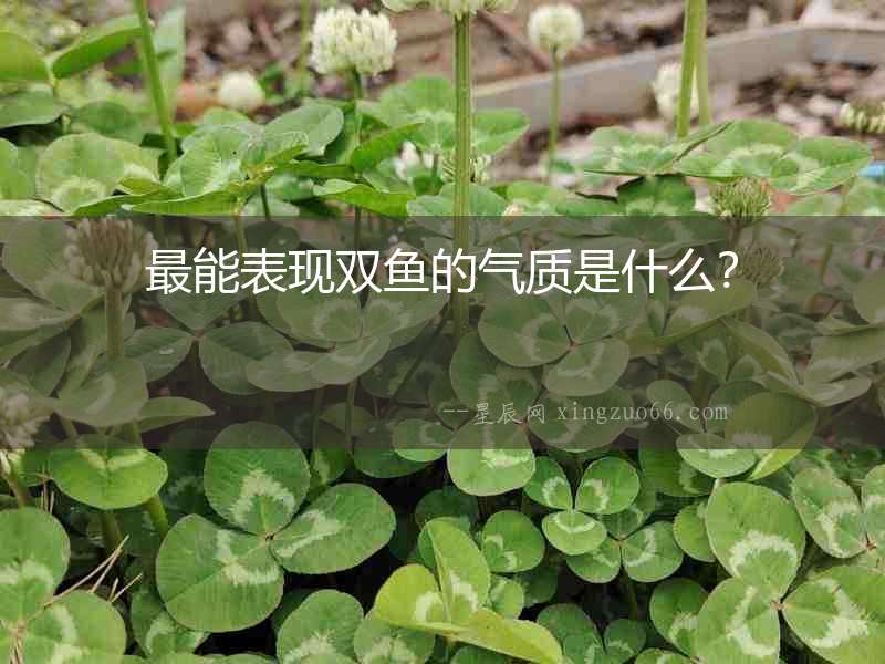 最能表現雙魚的氣質是什么？