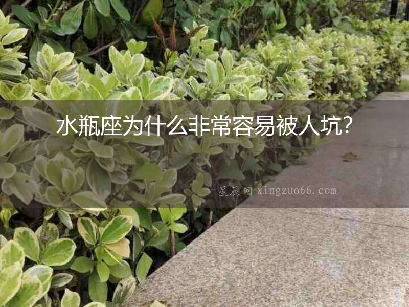 水瓶座為什么非常容易被人坑？