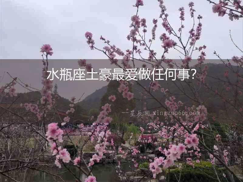 水瓶座土豪最愛做任何事？