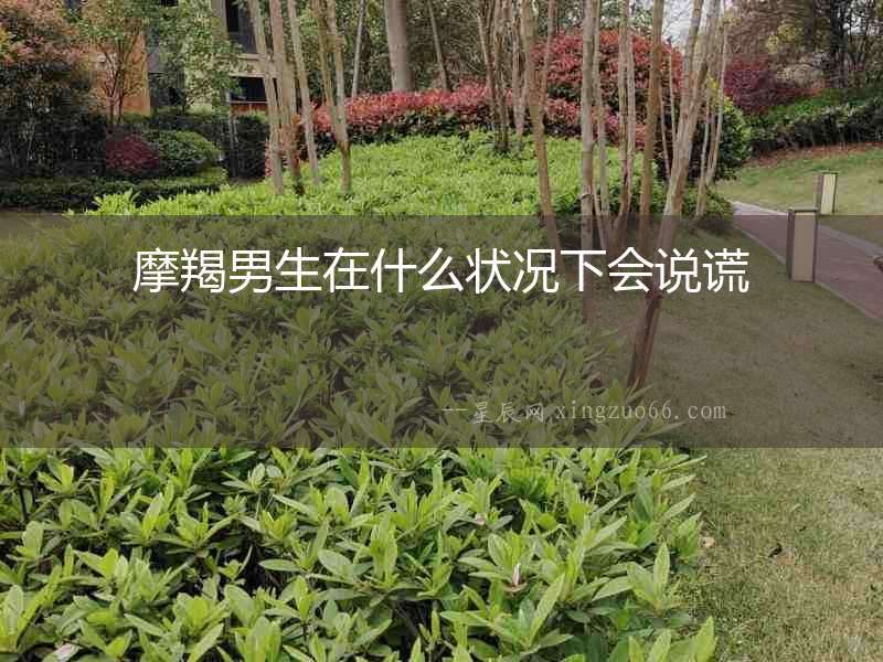 摩羯男生在什么狀況下會說謊
