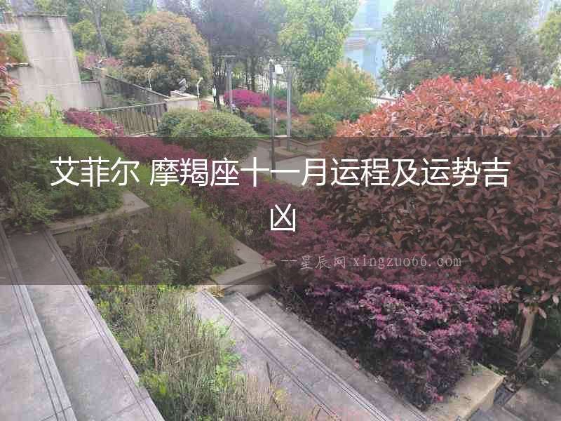 艾菲爾 摩羯座十一月運程及運勢吉兇