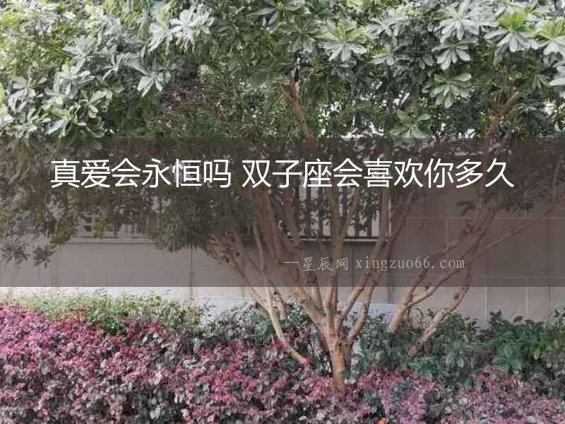 真愛會永恒嗎 雙子座會喜歡你多久