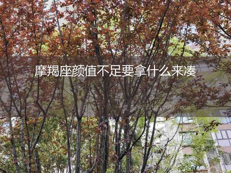 摩羯座顏值不足要拿什么來湊