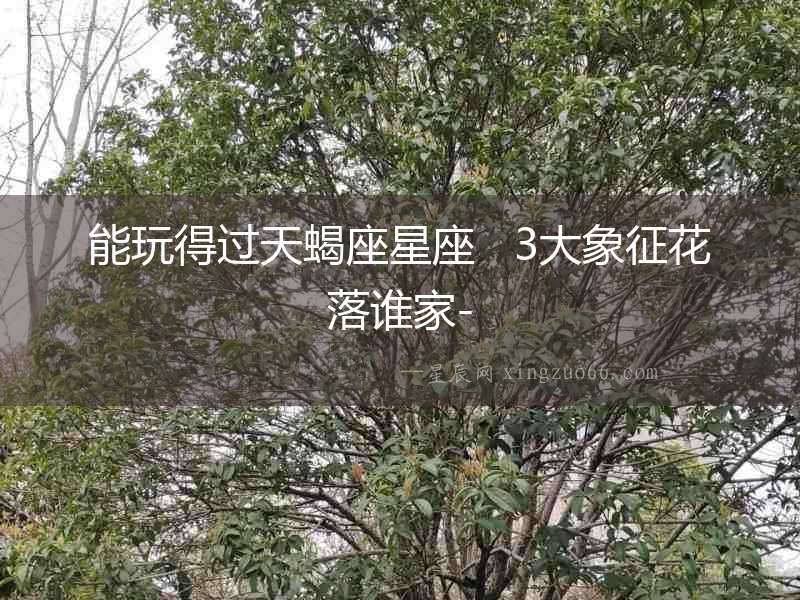 能玩得過天蝎座星座   3大象征花落誰家-