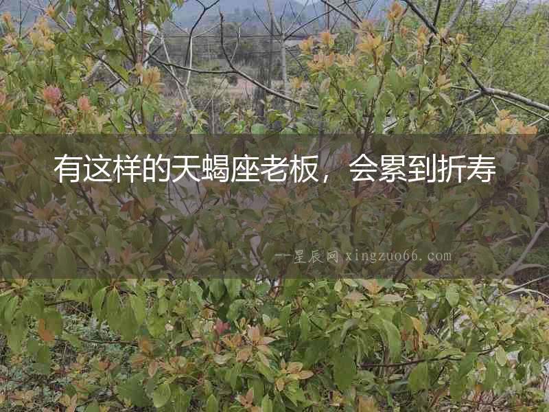 有這樣的天蝎座老板，會累到折壽