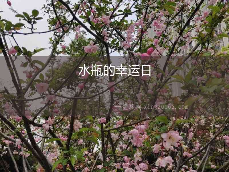 水瓶的幸運(yùn)日