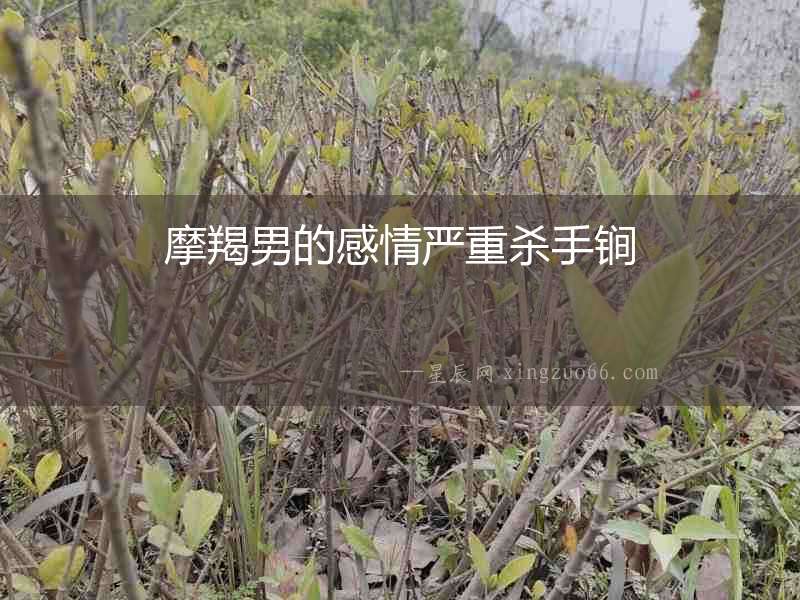 摩羯男的感情嚴(yán)重殺手锏