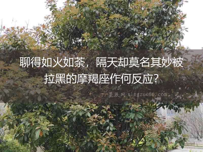 聊得如火如荼，隔天卻莫名其妙被拉黑的摩羯座作何反應(yīng)？