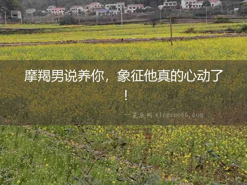 摩羯男說(shuō)養(yǎng)你，象征他真的心動(dòng)了！