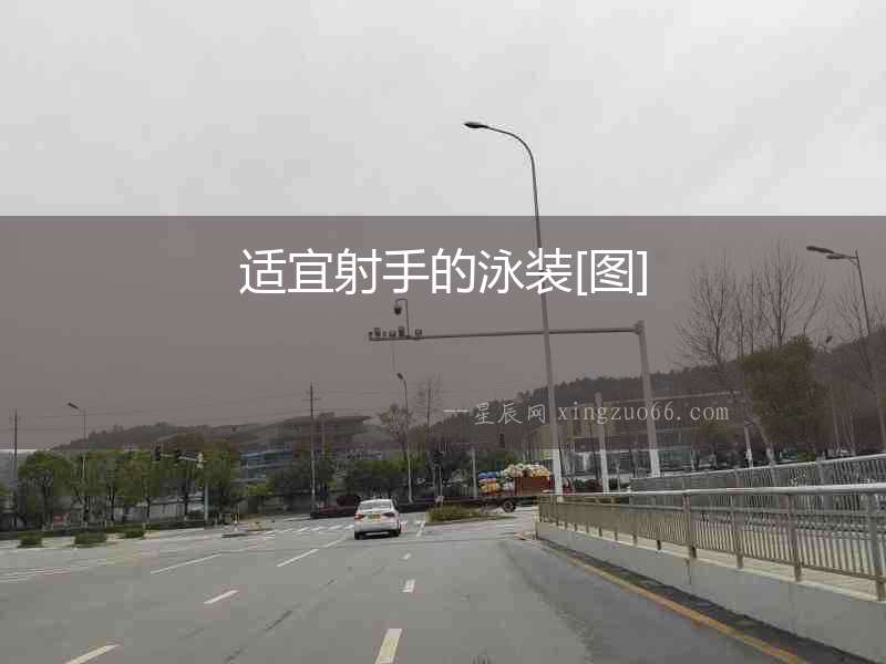 適宜射手的泳裝[圖]