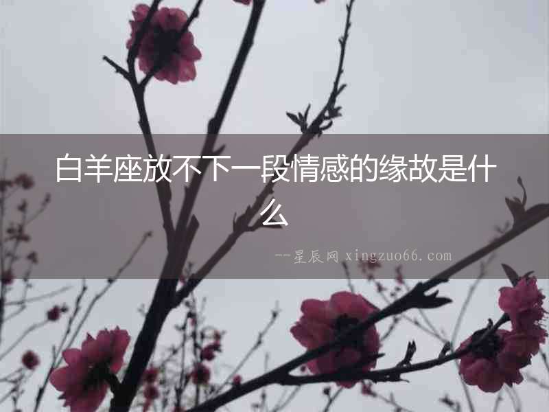白羊座放不下一段情感的緣故是什么